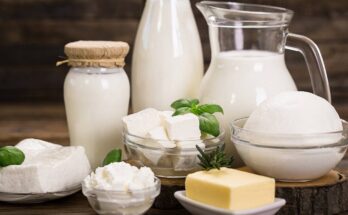 Dairy Products Market