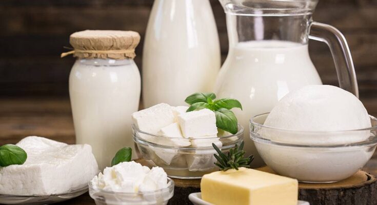 Dairy Products Market