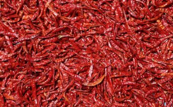 Dry Chillies Market