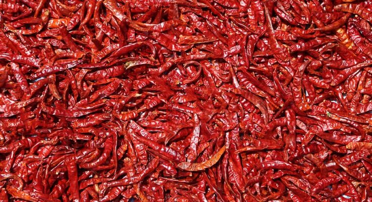 Dry Chillies Market