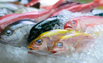 Frozen Fish Market