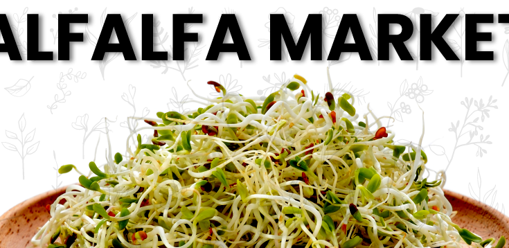 Global Alfalfa Market Analysis, Opportunity, Demand, Share, Size & Forecast