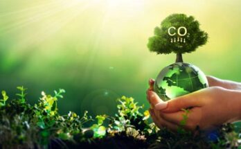 Global Carbon Footprint Management Market