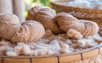 Global Eco Fiber Market