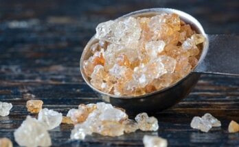 Global Guar Gum Market