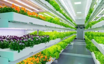 Global Indoor Farming Market Analysis, Opportunity, Share, Size, Growth & Size