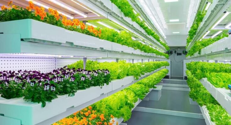 Global Indoor Farming Market Analysis, Opportunity, Share, Size, Growth & Size