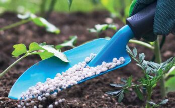 Global Nano Fertilizers Market Analysis, Opportunity, Demand, Share, Size, Trends & Forecast