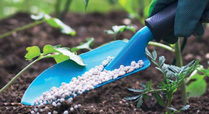 Global Nano Fertilizers Market Analysis, Opportunity, Demand, Share, Size, Trends & Forecast