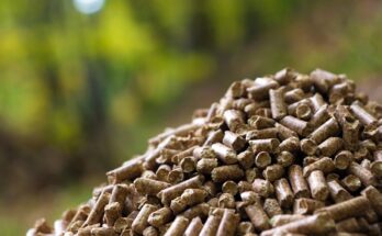 Global Wood Pellet Fuel Market