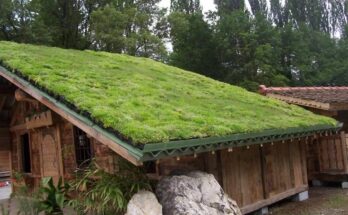 Green-Roof Market