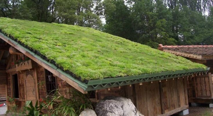 Green-Roof Market