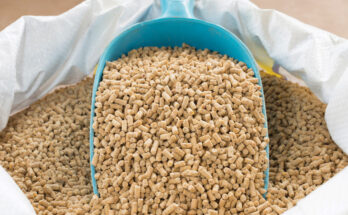 India Animal Feed Supplements Market