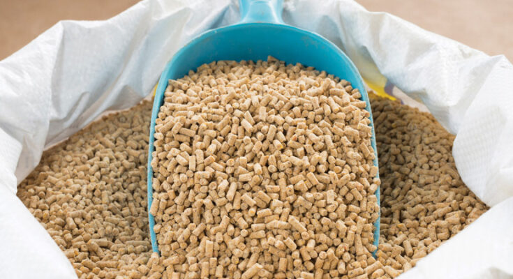 India Animal Feed Supplements Market