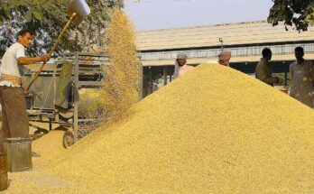 India Grain Analysis Market Analysis, Opportunity, Demand, Share, Size, Trends & Forecast