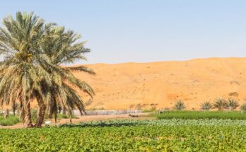 Middle East & Africa Desert Farming Market Analysis, Demand, Scope, Share, Size, Opportunities & Forecast