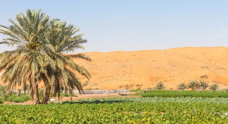 Middle East & Africa Desert Farming Market Analysis, Demand, Scope, Share, Size, Opportunities & Forecast