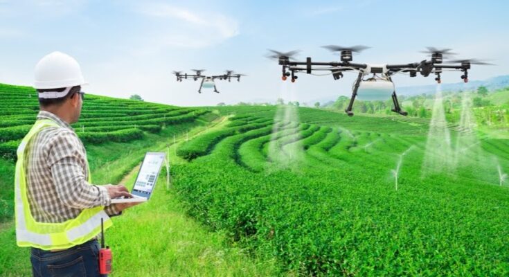 Netherlands AI in Agriculture Market Opportunity, Analysis, Growth, Share, Trends Size & Forecast