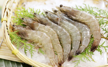 Organic Shrimp Market