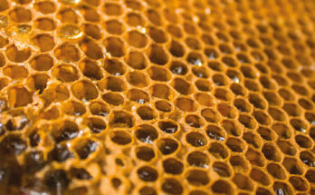 Pakistan Honey Market Analysis, Opportunity, Demand, Share, Size & Forecast