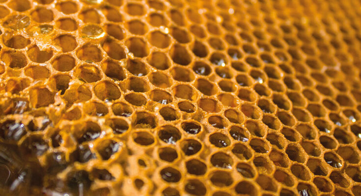 Pakistan Honey Market Analysis, Opportunity, Demand, Share, Size & Forecast