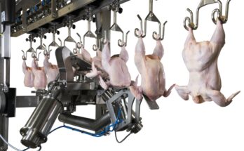 Poultry Processing Equipment Market Opportunity, Analysis, Growth, Share, Trends Size & Forecast