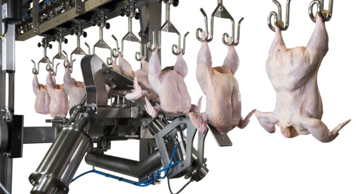 Poultry Processing Equipment Market Opportunity, Analysis, Growth, Share, Trends Size & Forecast