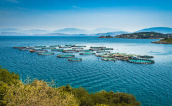 Precision Aquaculture Market Analysis, Growth, Trends, Share, Size & Forecast