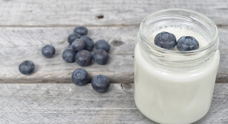 Probiotic And Prebiotic Yogurt Market