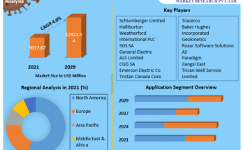 Reservoir Analysis Market