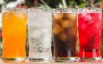 Soft Drinks Concentrate Market