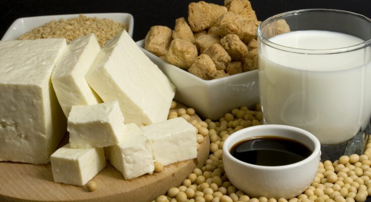 Soy And Milk Protein Ingredients Market