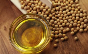 Soybean Oil Market