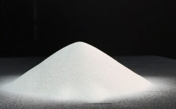 Global Super Fine Talc Powder Market