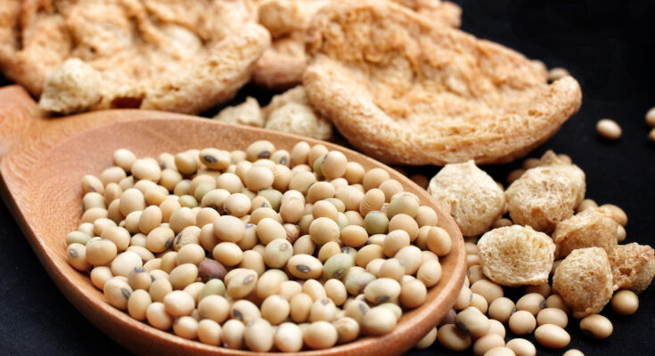 Textured Soybean Protein Market