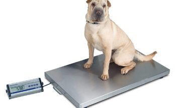 Veterinary Scales Market