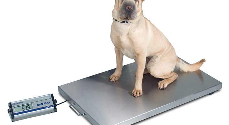 Veterinary Scales Market