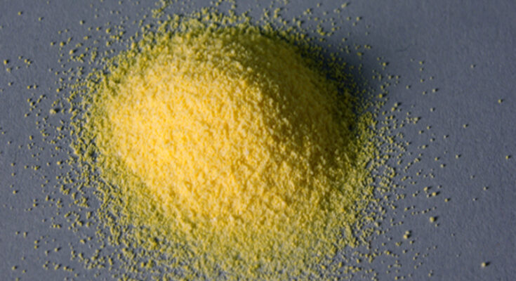 Vitamin D Powder Market