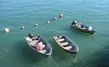 Leisure Boat & Fishing Boat Market