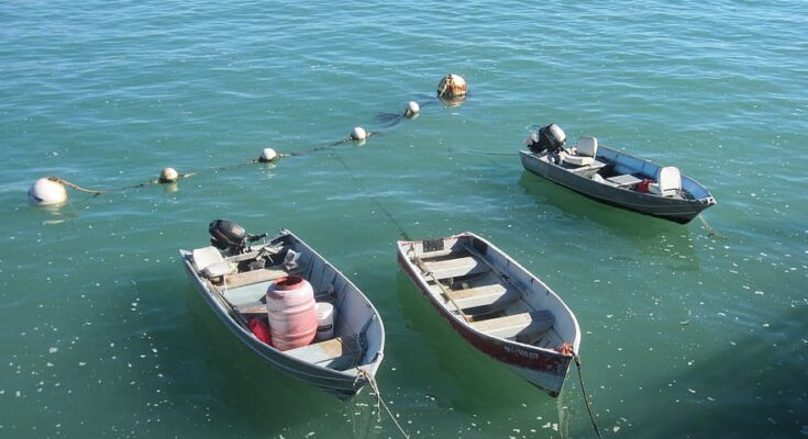 Leisure Boat & Fishing Boat Market