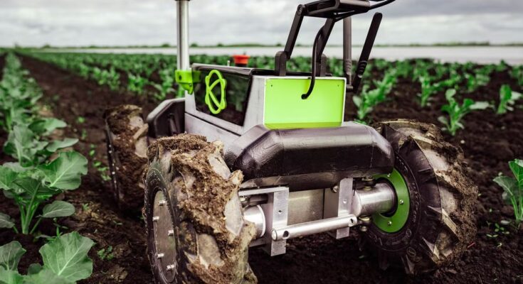 Agricultural Products Processing Robot Market