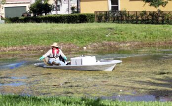 Aquatic Herbicides Market - Analysis, Share, Trends, Demand, Size, Opportunity & Forecast