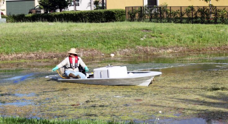 Aquatic Herbicides Market - Analysis, Share, Trends, Demand, Size, Opportunity & Forecast