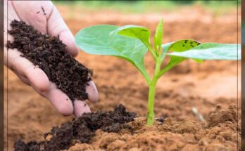 Asia Pacific Soil Conditioners Market Analysis, Share, Trends, Demand, Size, Opportunity & Forecast