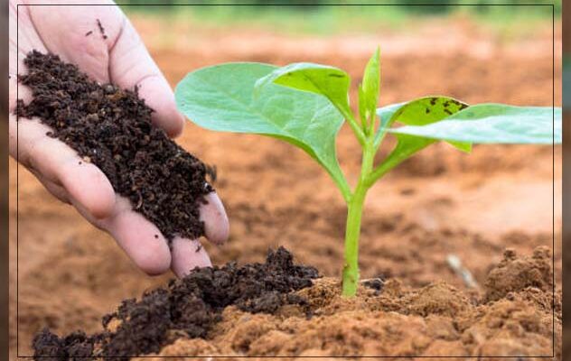 Asia Pacific Soil Conditioners Market Analysis, Share, Trends, Demand, Size, Opportunity & Forecast