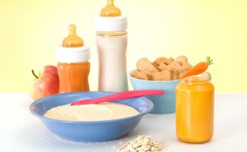 Baby Food & Infant Formula Market