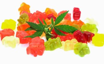 CBD Gummies Market