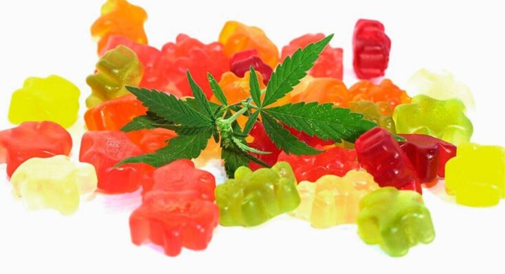 CBD Gummies Market