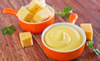 Canned Cheese Sauce Market