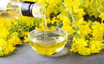 Canola Oil Market